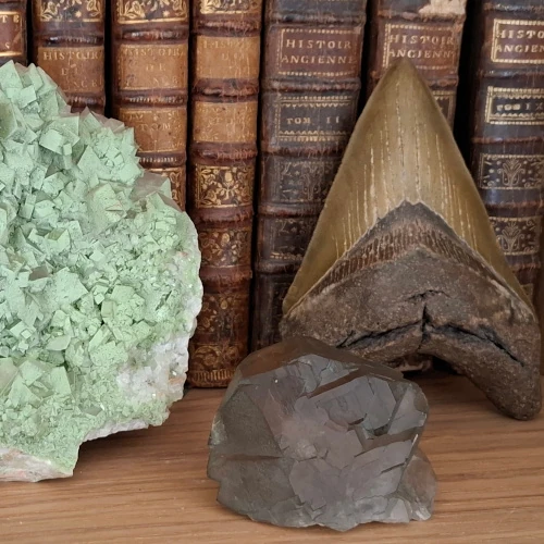 collections historiques